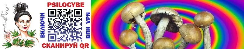Купить закладки  Тихвин  Псилоцибиновые грибы MAGIC MUSHROOMS 
